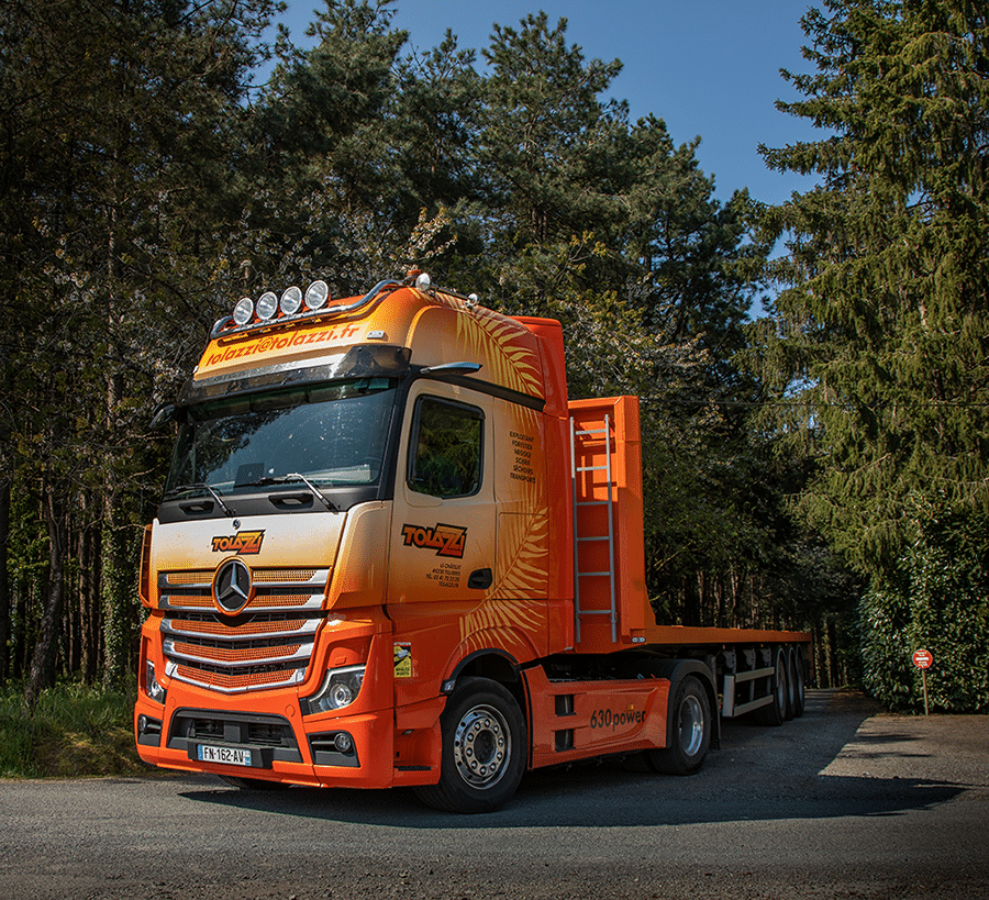 CAMION TOLAZZI